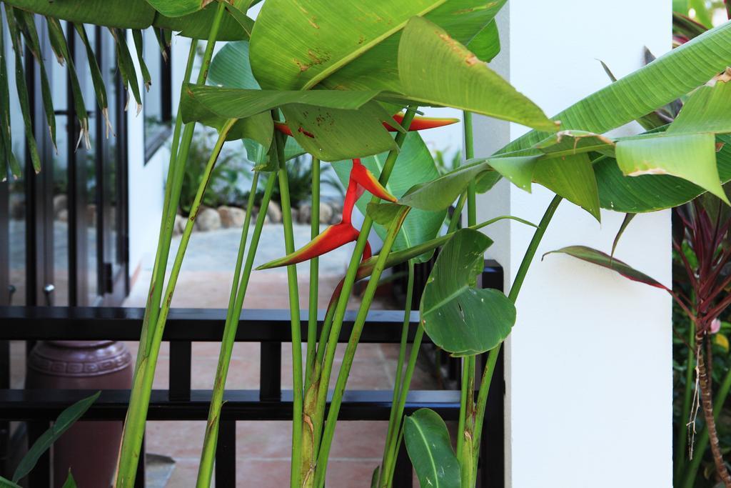 East West Villa Hoi An Zewnętrze zdjęcie