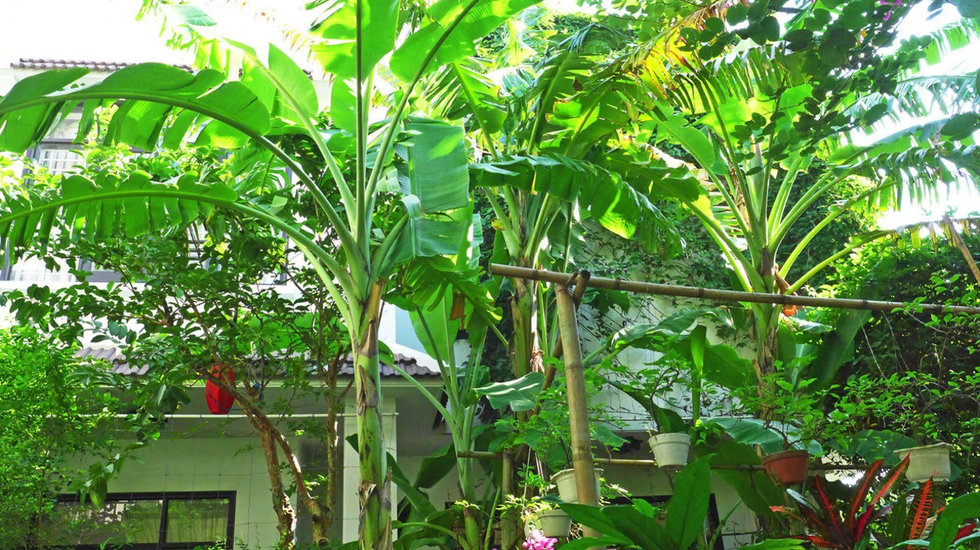 East West Villa Hoi An Zewnętrze zdjęcie
